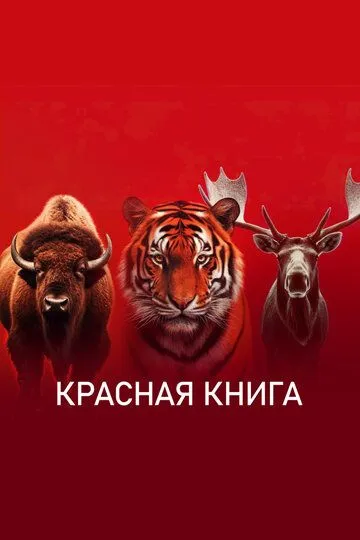 Красная книга смотреть бесплатно
